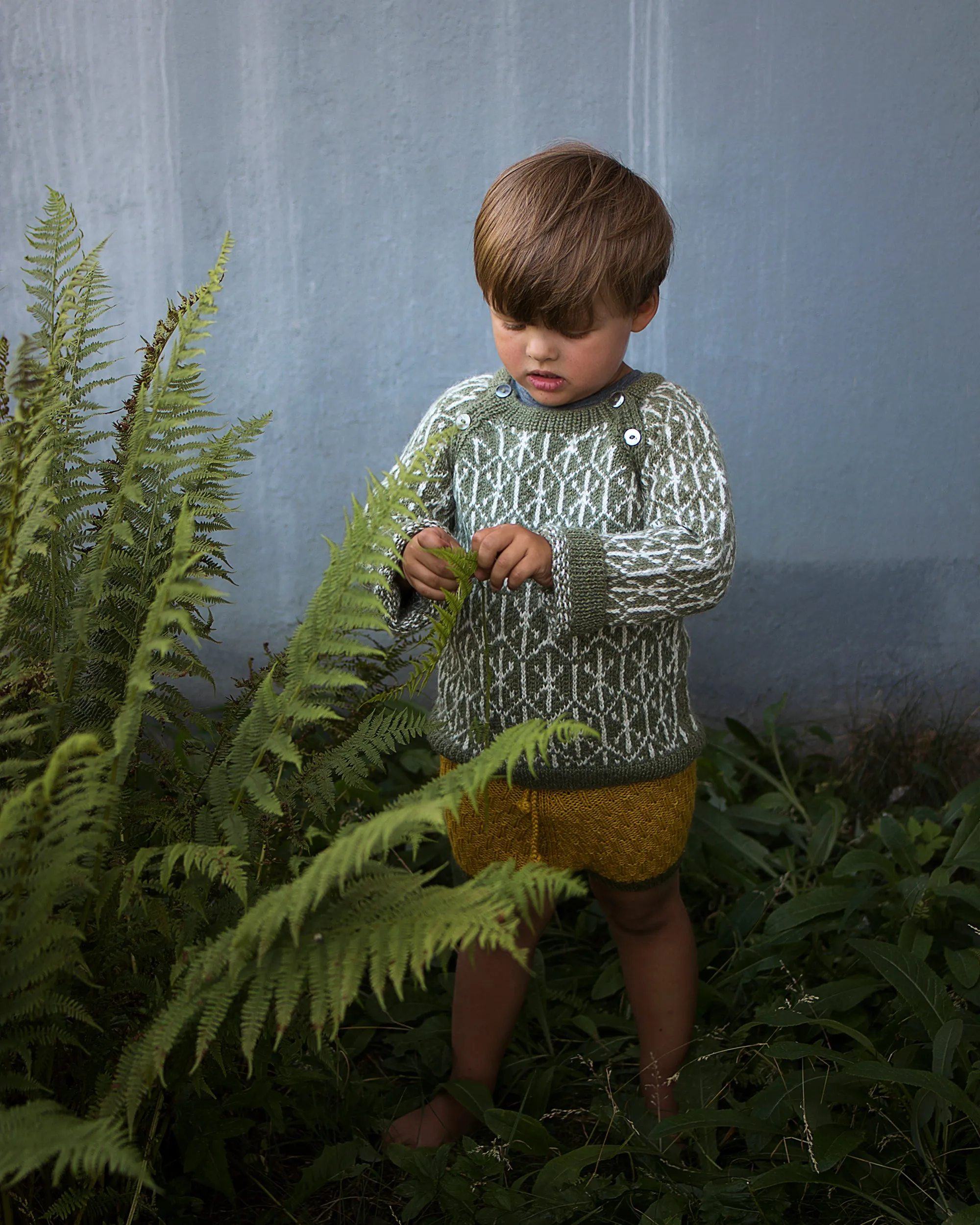 Alpaca Caterpillar Shorts - Plant Dyed