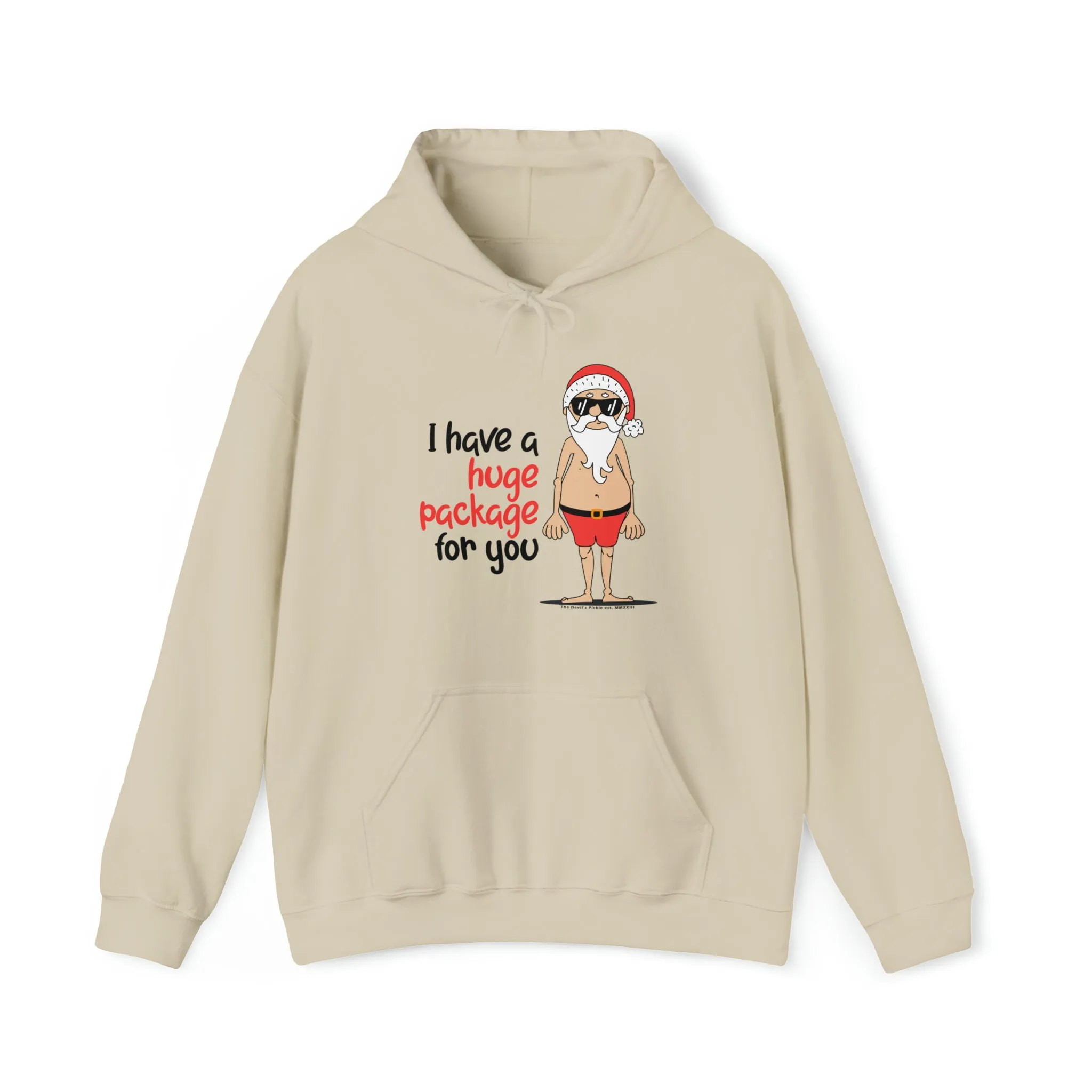 I Have A Huge Package For You Hooded Sweatshirt