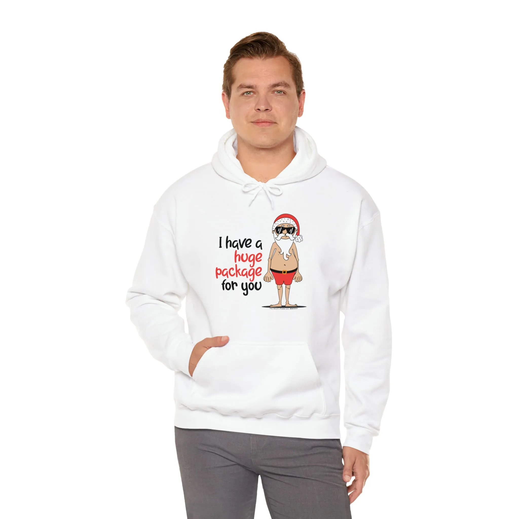 I Have A Huge Package For You Hooded Sweatshirt