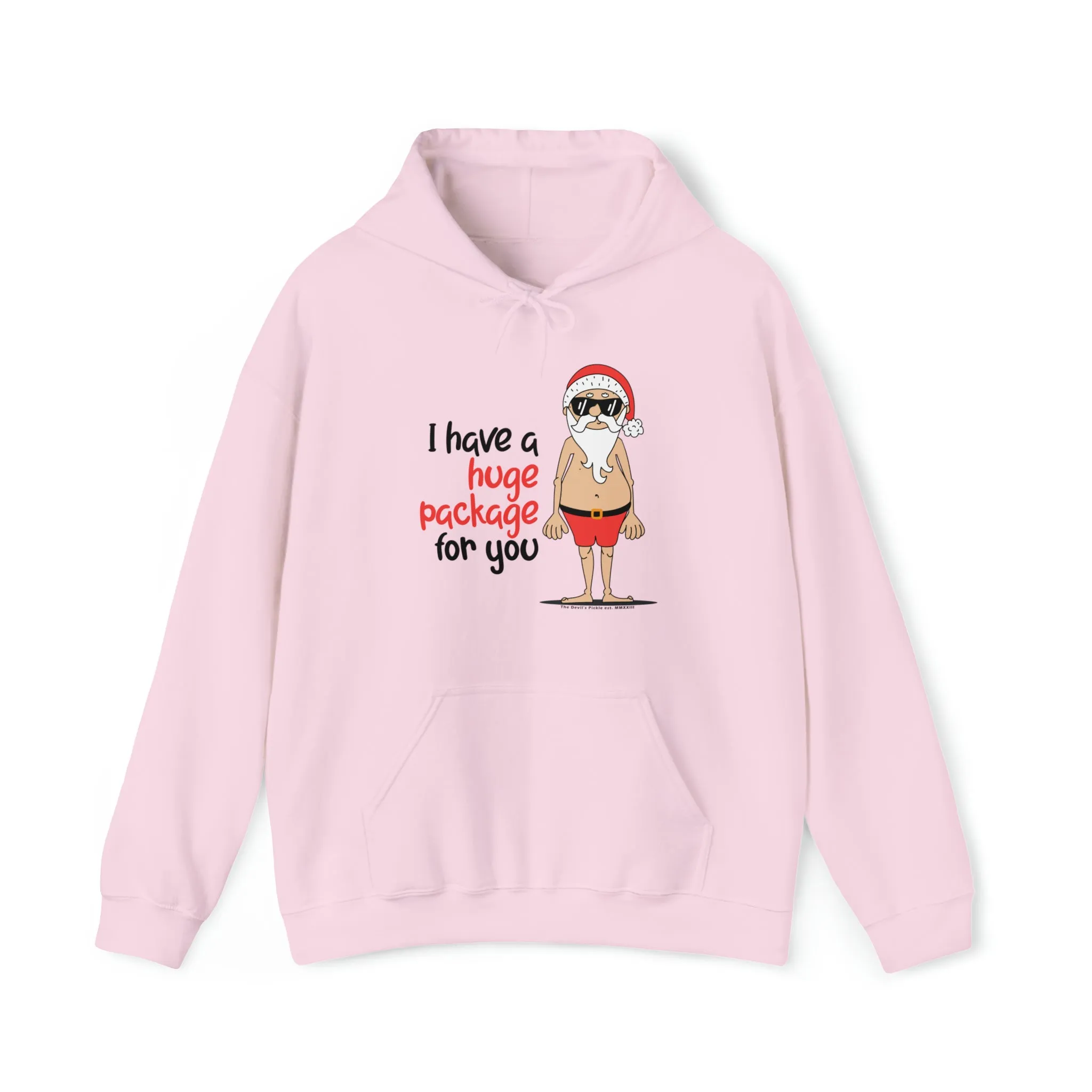 I Have A Huge Package For You Hooded Sweatshirt