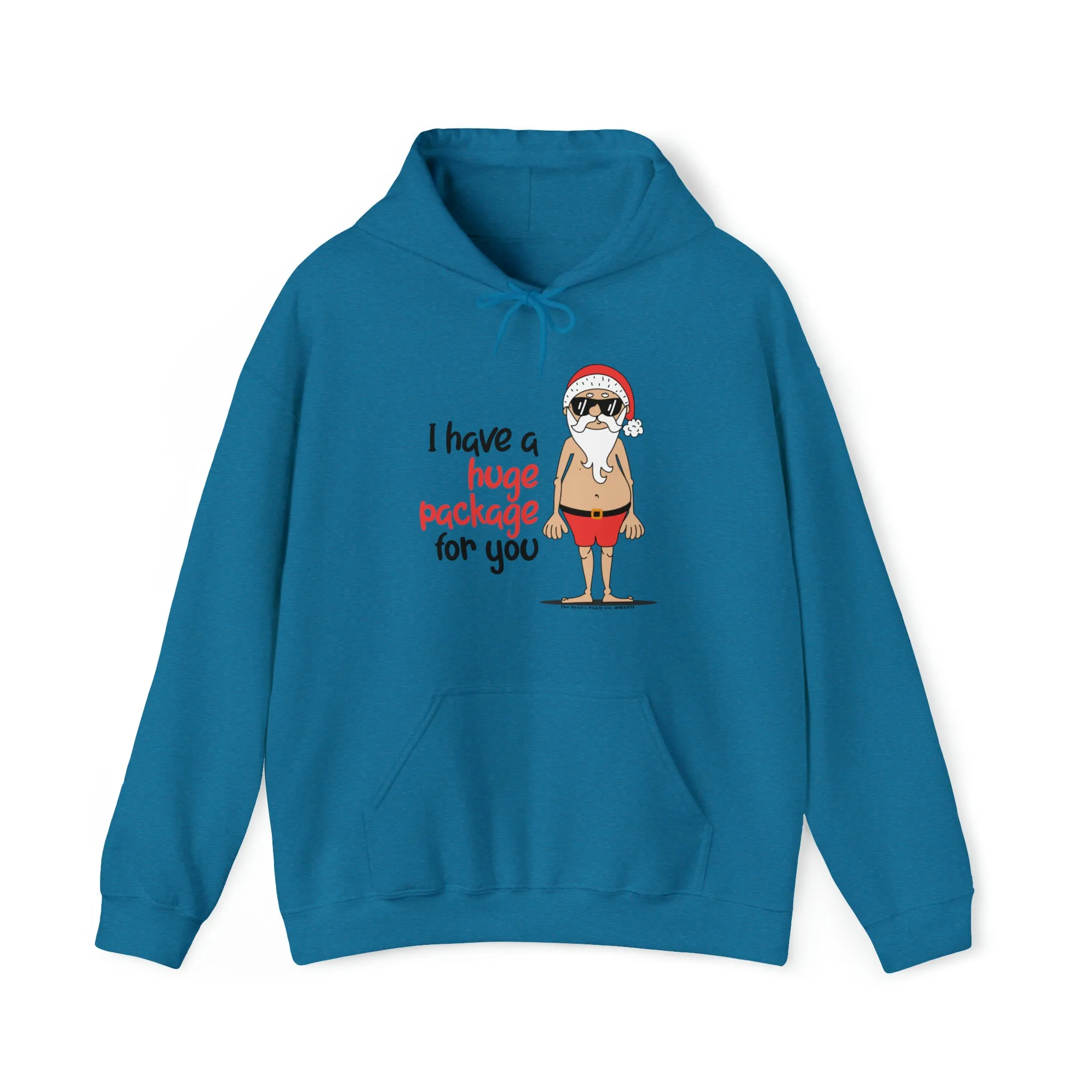 I Have A Huge Package For You Hooded Sweatshirt