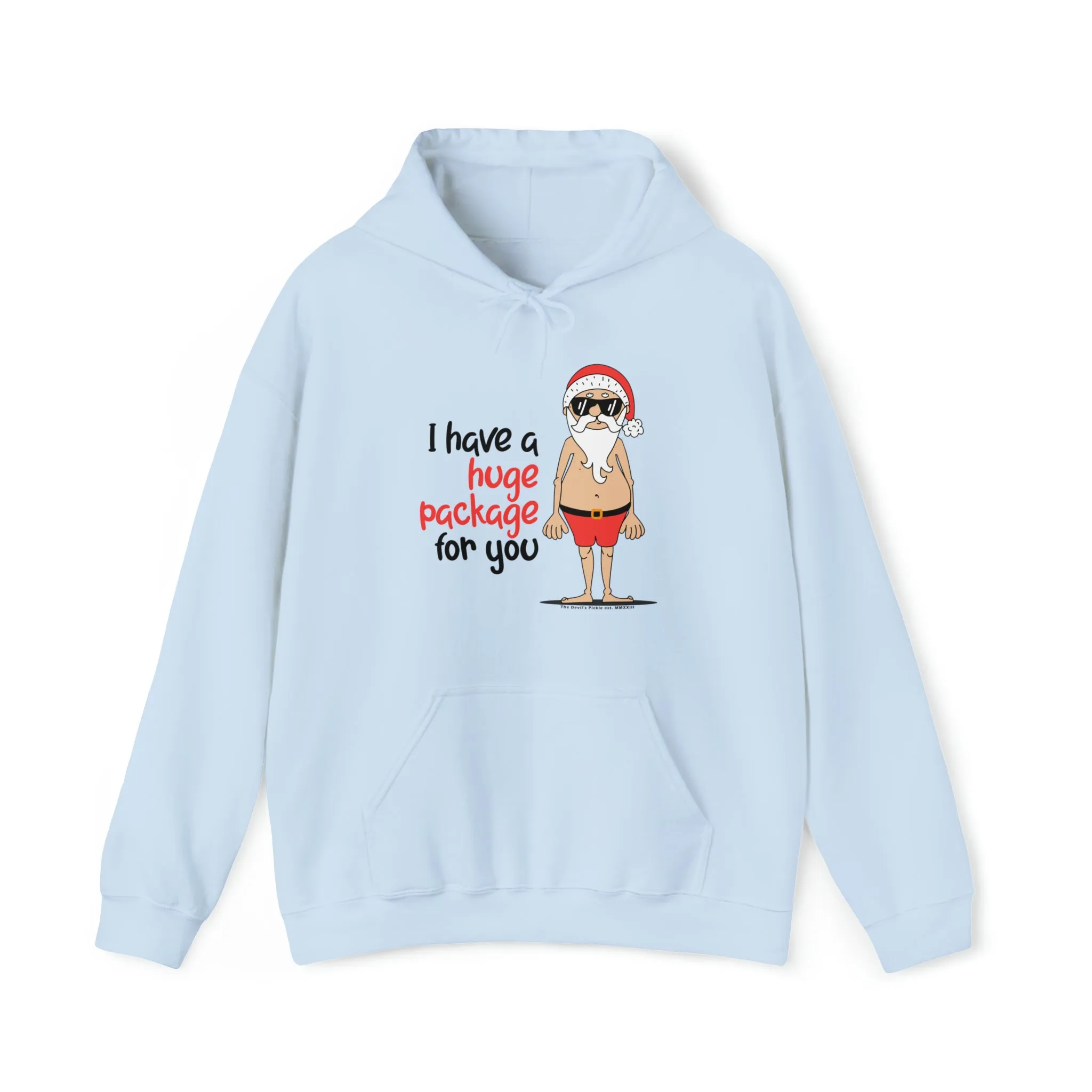 I Have A Huge Package For You Hooded Sweatshirt