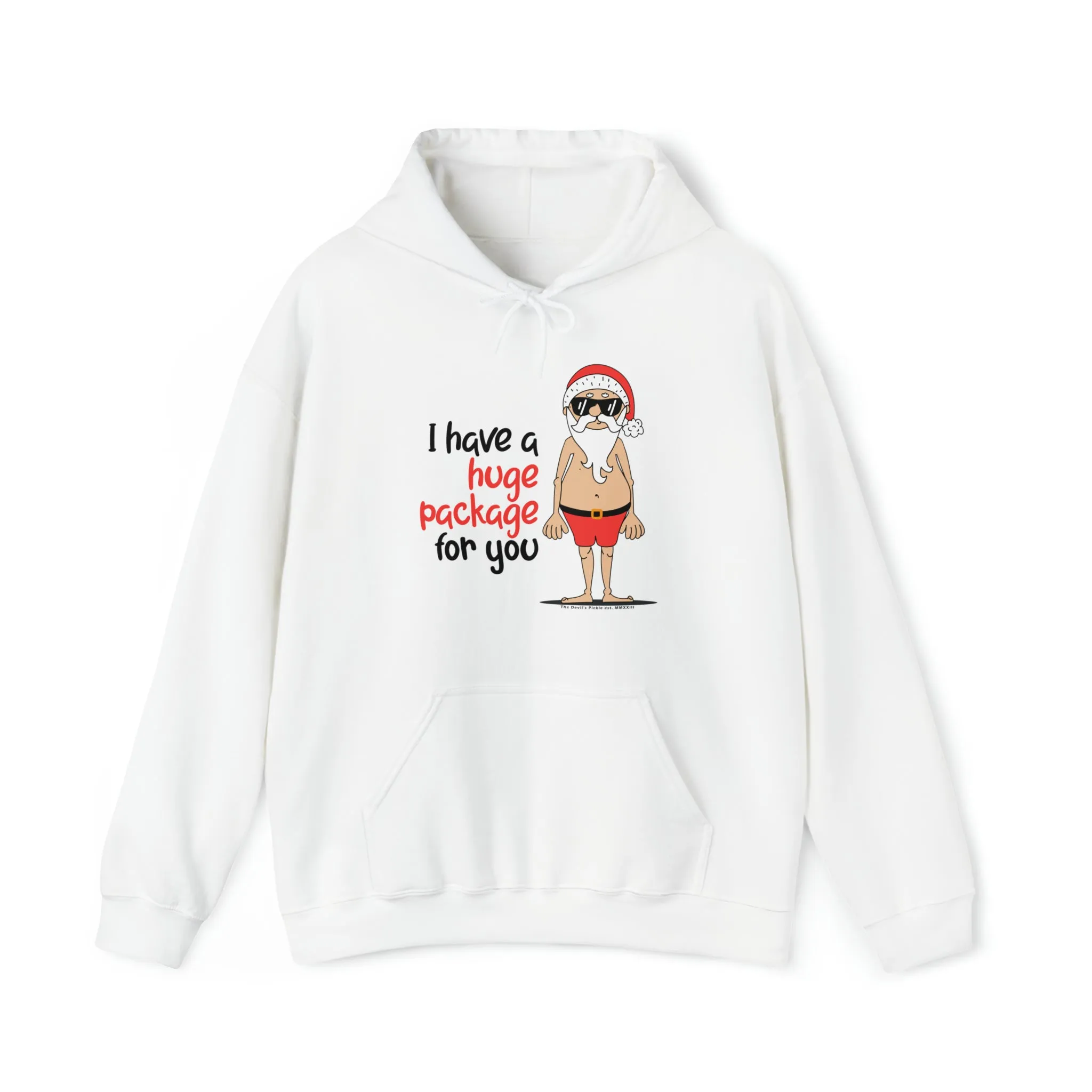 I Have A Huge Package For You Hooded Sweatshirt