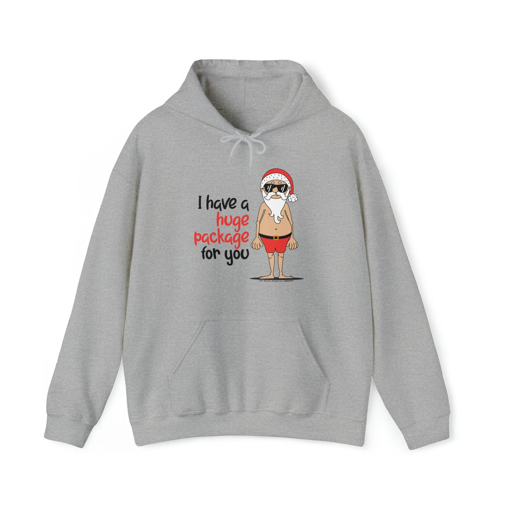 I Have A Huge Package For You Hooded Sweatshirt