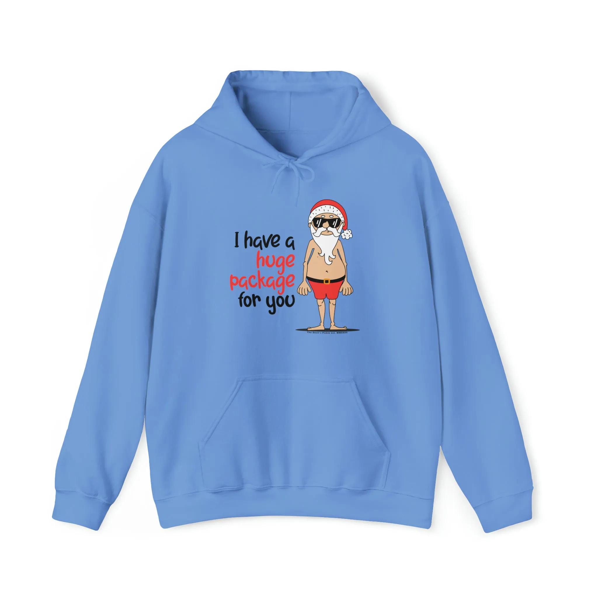 I Have A Huge Package For You Hooded Sweatshirt