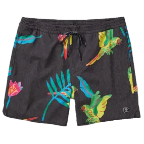 Men's Shorey Macaw 16"